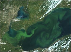 Image of an algal bloom in Lake Erie taken on Sept. 6.