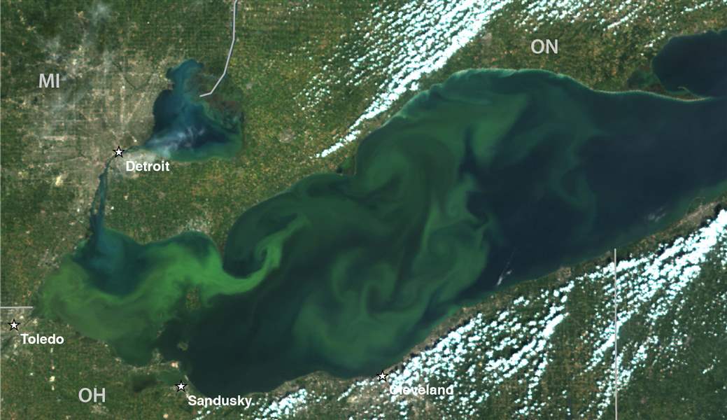 Lake-Erie-Algae-22