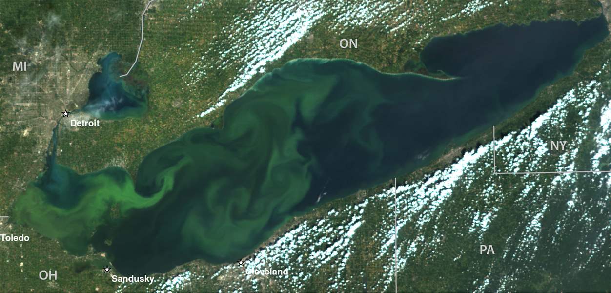 Lake-Erie-Algae-22
