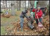 Leaves pile up in Olander Park