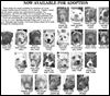 Lucas County Dogs for Adoption: 11-15