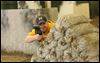 Paintball center's neighbors upset