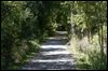 Trail's second phase delayed