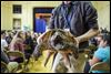Zoo program teaches students