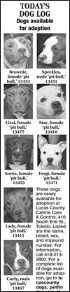 Lucas County Dogs for Adoption: 11-18