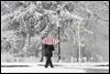 Snow pelts Midwest, halts flights