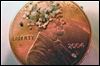 Ohio weighing microbeads ban