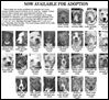 Lucas County Dogs for Adoption: 11-29
