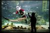 Santa and sharks