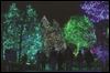Zoo encourages visitors to arrive early for lights