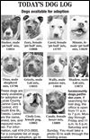 Lucas County Dogs for Adoption: 12-15