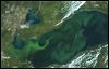Huge Lake Erie algal bloom predicted