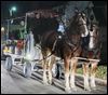 Carolers build a horse-drawn tradition