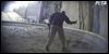 Alleged abuse of tiger seen on video