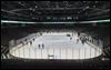 Skaters take to ice for Winterfest
