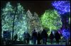 Zoo’s lights set attendance record