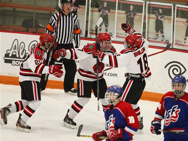 Bowling Green High School suspends hockey program