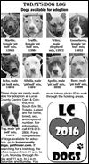Lucas County Dogs for Adoption: 1-12