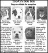 Lucas County Dogs for Adoption: 1-13
