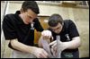 Students race to fix robot at tournament