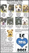 Lucas County Dogs for Adoption: 1-20
