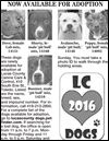Lucas County Dogs for Adoption: 1-22