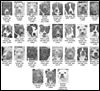 Lucas County Dogs for Adoption: 1-31