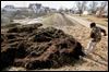 Urban farming work sows discord
