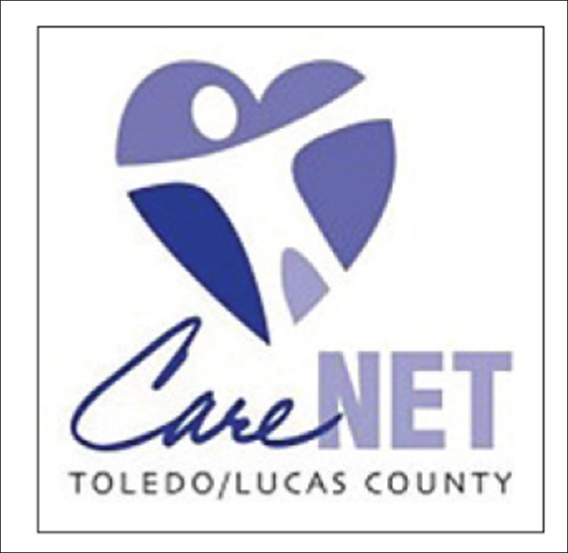 Return on investment from Toledo Blade