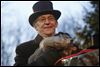 Toledo-area groundhog 'predicts' more winter