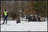 Girl, 10, killed in Michigan crash