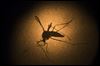 Ohioans who have Zika virus climbs to 4