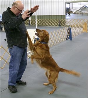 Lynn Lippincott trains  Reba at the Toledo Kennel Club in Holland for the trials at the Westminster’s Masters Obedience Championship in New York City. Mr. Lippincott has been going through his own trials, that of losing his wife of 48 years. ‘I miss her so much,’ he says.