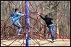 Brothers enjoy nice day at Toledo park