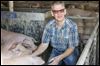 Hog farm could be 3rd largest