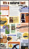 It's a natural fact: Oddities of the outdoors