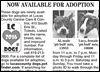 Lucas County Dogs for Adoption: 3-2