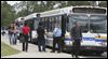 TARTA cuts half of TPS bus service
