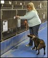 Canine control has new Friends