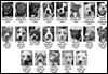 Lucas County Dogs for Adoption: 3-20