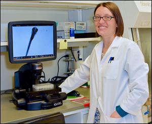 Kari Lavik is a postdoctoral fellow in the department of biochemistry and cancer biology at the University of Toledo college of medicine and life sciences.