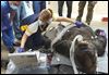 Doctors make house call at Toledo Zoo