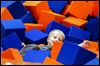 Spring into foam fun