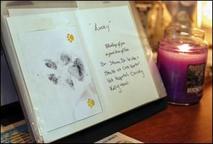 A paw print and card for Lucky, the dog that inspired ‘Angel Care’ at  Island Safe Harbor Animal Sanctuary, appear in a scrapbook with other paw prints and cards honoring pets that have passed away.