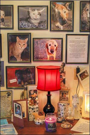 A memorial wall at  Island Safe Harbor Animal Sanctuary includes a picture of Lucky, center.