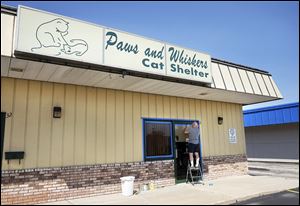 Paws and Whiskers Cat Shelter in Toledo.