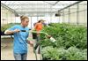 Plants readied for big Mother's Day sale