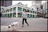 Downtown is dog friendly