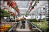 Area flower sales among best in U.S.