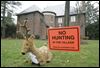 State denies Ottawa Hills’ deer cull request